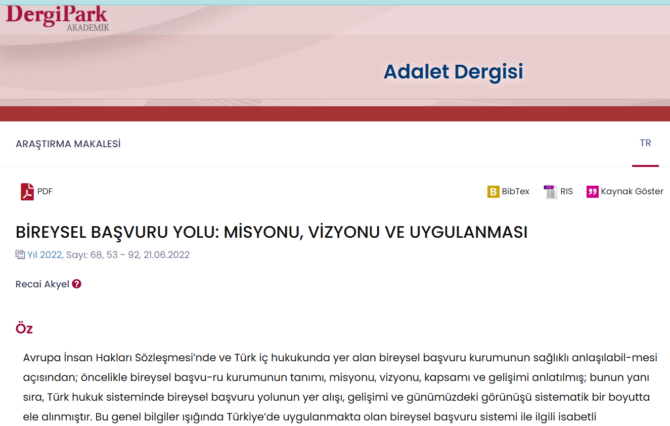 Bireysel Başvuru Yolu, Misyonu, Vizyonu Uygulaması